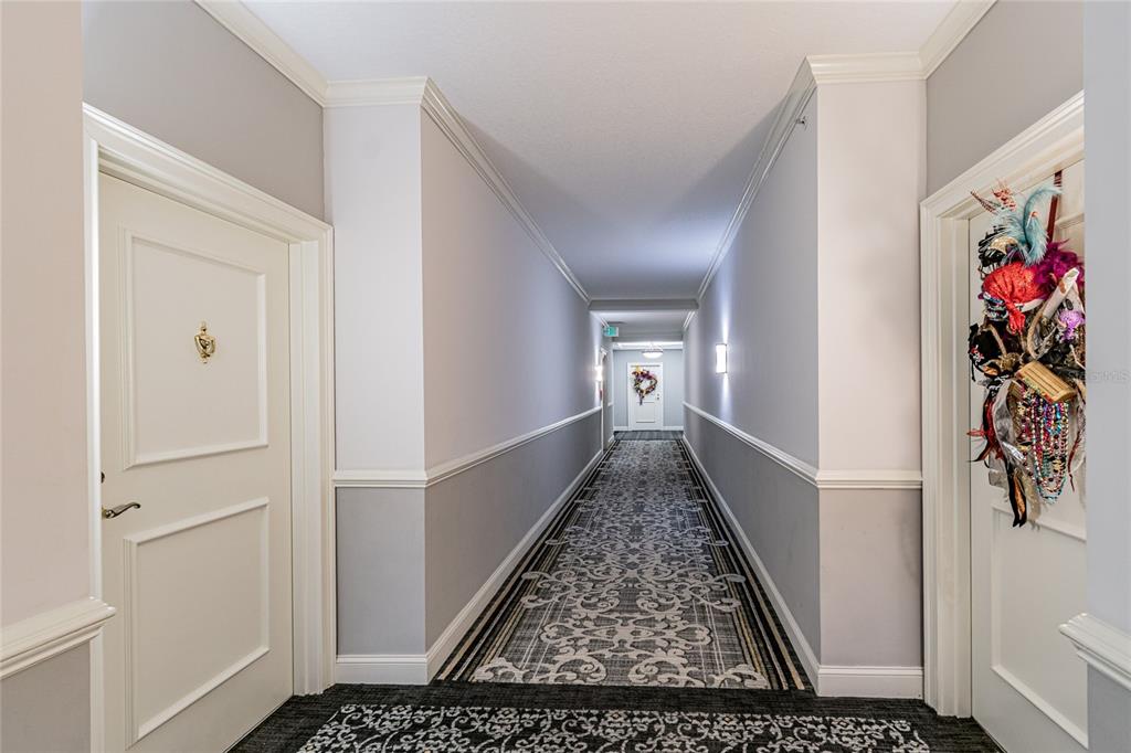 A long hallway features gray walls, white trim, and a patterned carpet runner — 345 BAYSHORE BOULEVARD UNIT 1710, TAMPA, FL