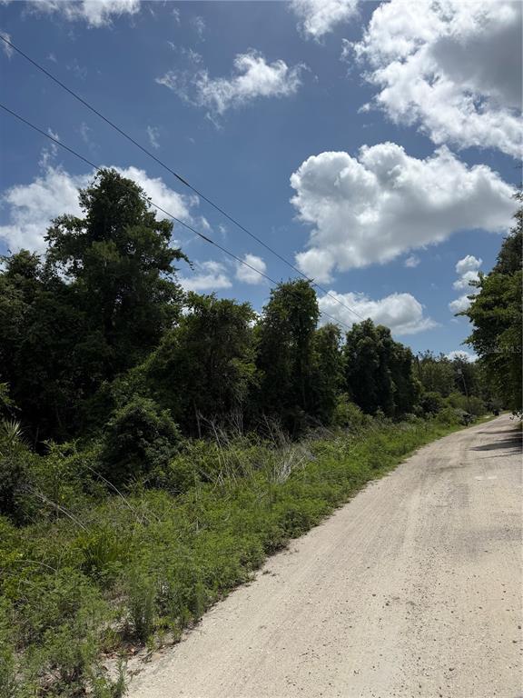 A dirt road runs alongside a dense, wooded lot under a partly cloudy blue sky — PALMETTO CIRCLE, PAISLEY, FL