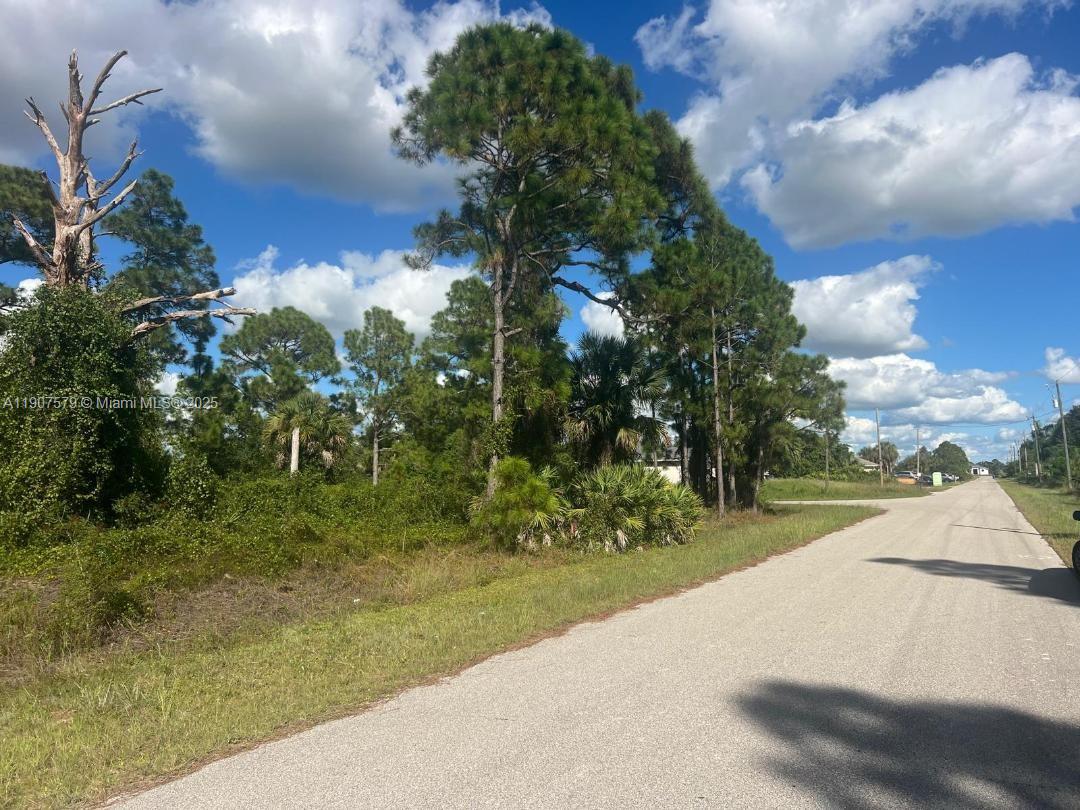 A paved road runs alongside a vacant, wooded lot under a blue sky — 521 ROOSEVELT AVE, Lehigh Acres FL 33936, LEHIGH ACRES, FL