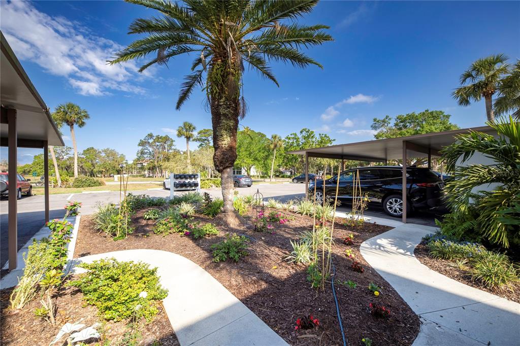 A landscaped garden area with a palm tree sits between two covered parking structures — 696 BIRD BAY DRIVE W UNIT 138, VENICE, FL