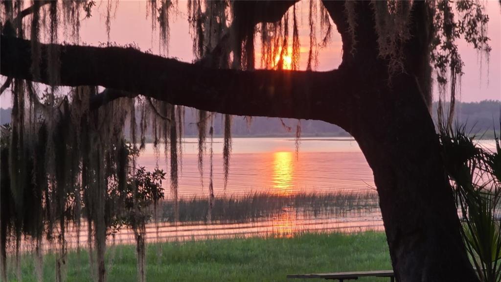 A sunset view over a lake framed by a large tree with hanging Spanish moss — 25205 NE 142ND STREET, SALT SPRINGS, FL