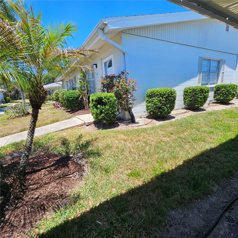 A white one-story building with a palm tree and manicured shrubs in the front yard — 301 ANDOVER PLACE S UNIT 175, SUN CITY CENTER, FL