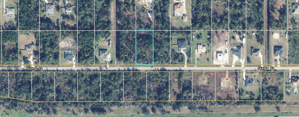 An aerial map shows a rectangular plot of land highlighted in blue along Starry Street — STARRY STREET, ORLANDO, FL