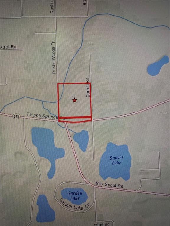 This map shows a red-outlined property parcel located near the intersection of Burrell Road and Tarpon Springs Road — 11819 TARPON SPRINGS ROAD, ODESSA, FL