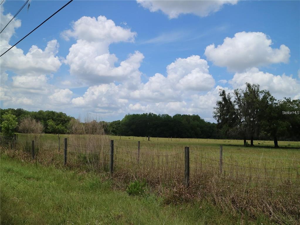 A wire fence borders a grassy field with trees under a blue sky with clouds — 11819 TARPON SPRINGS ROAD, ODESSA, FL