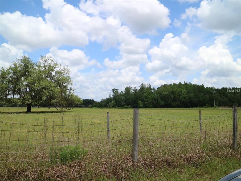 A wire fence encloses a grassy field with a large tree and distant woods — 11819 TARPON SPRINGS ROAD, ODESSA, FL