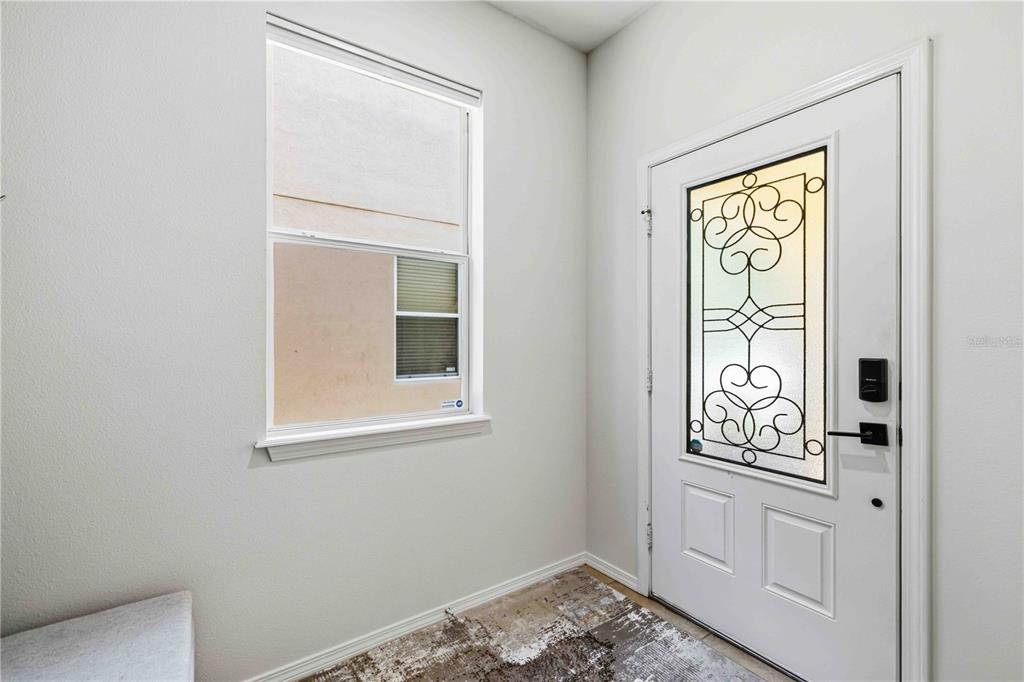 An entryway features a white front door with decorative glass and a single window — 9040 ASPEN HOLLOW PLACE, RIVERVIEW, FL