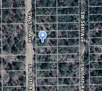 SW 57TH AVENUE, INTERLACHEN, FL — photo 2 of 2
