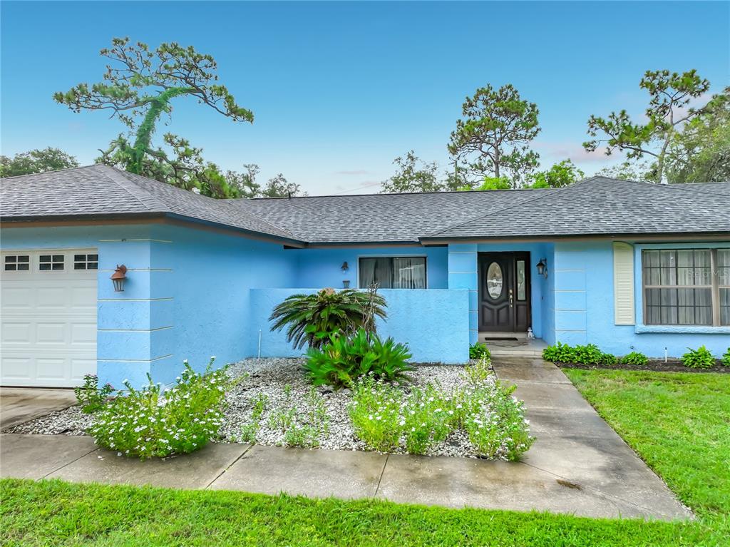 A single-story blue house with a white garage door, a front walkway, and landscaped garden — 9216 AMITY COURT, ORLANDO, FL