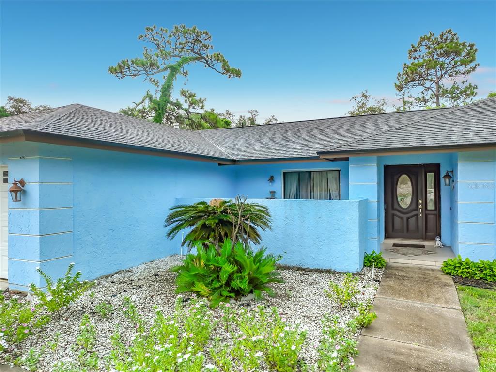 A blue house exterior features a front walkway, a central palm plant, and a dark door — 9216 AMITY COURT, ORLANDO, FL
