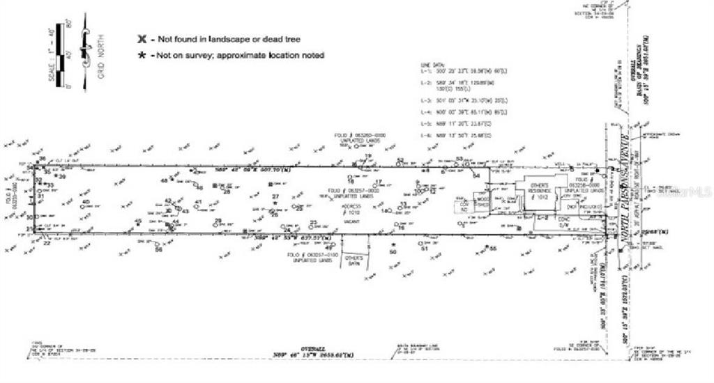 This is a land survey map showing property boundaries, structures, and tree locations — 1010 N PARSONS AVENUE, SEFFNER, FL