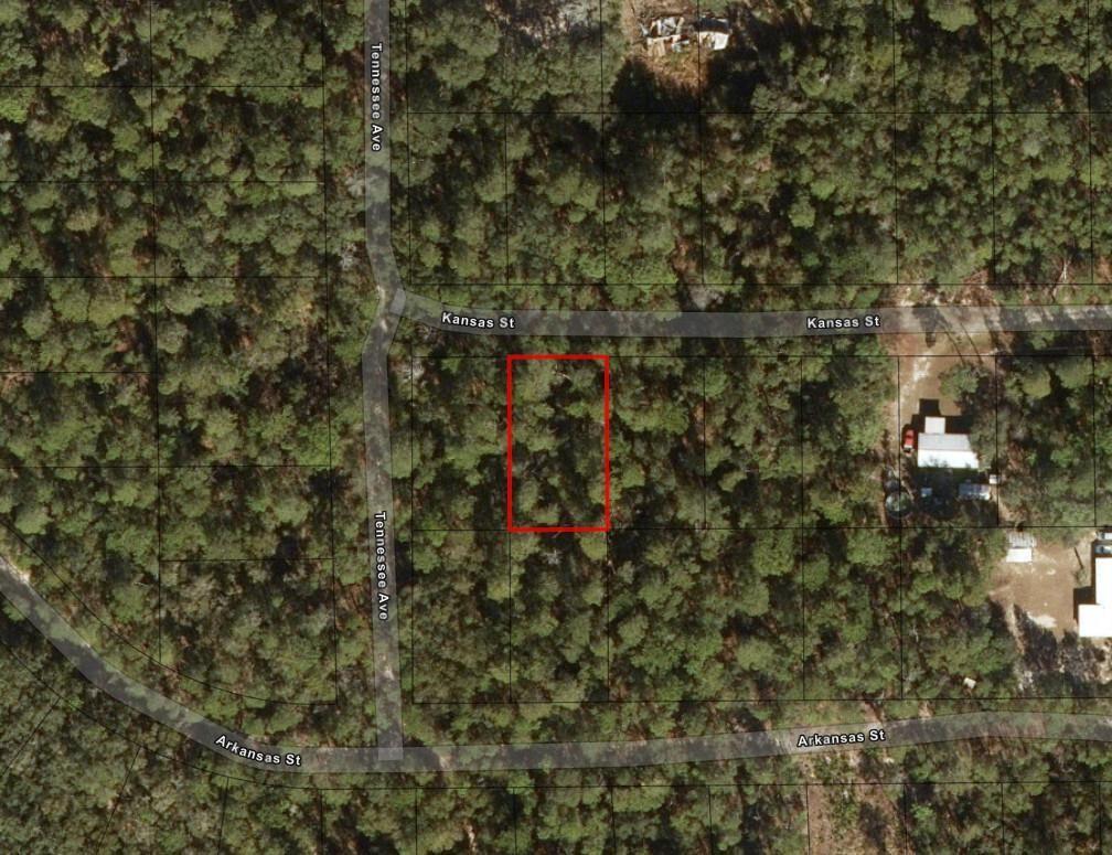 This is a map showing a rectangular plot of land outlined in red among trees — 213 Kansas Street, FL 32189, FL