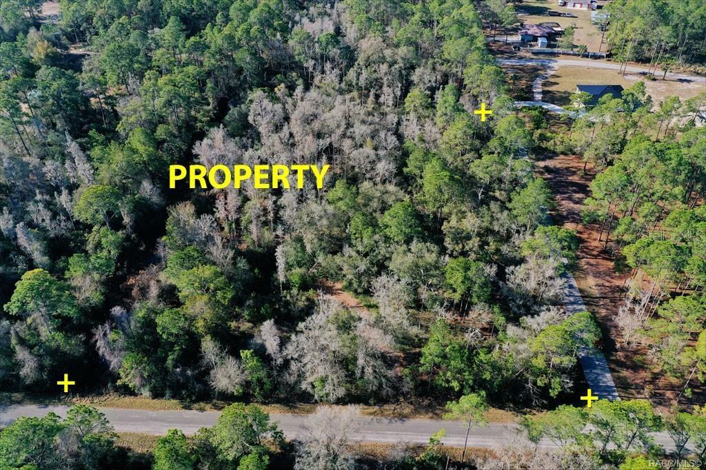 9485 N BEECHTREE WAY, CRYSTAL RIVER, FL — photo 3 of 5