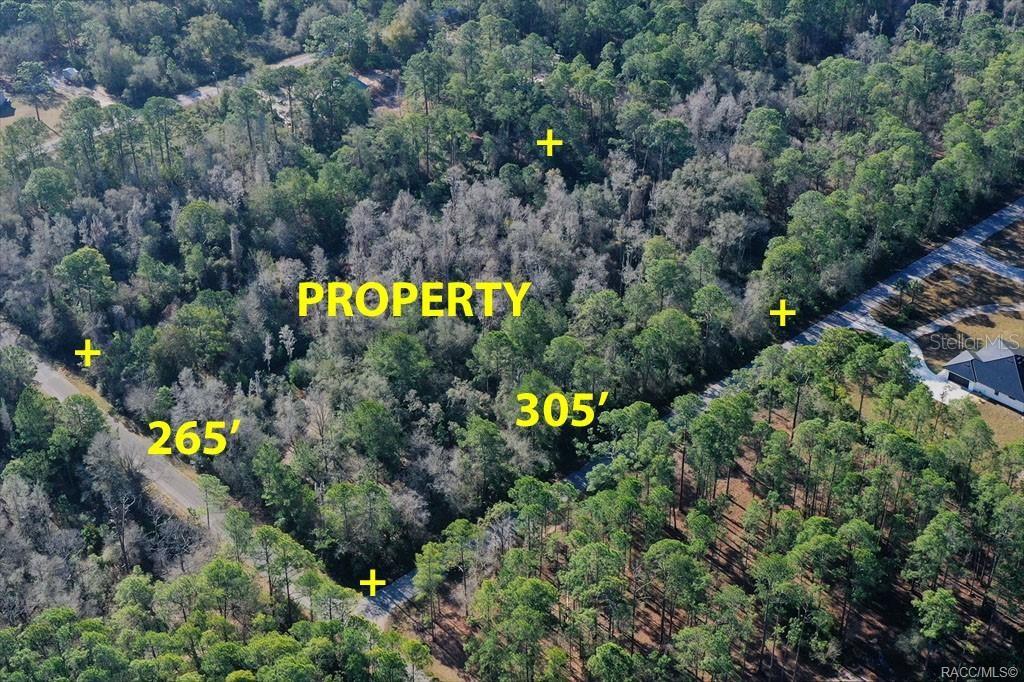9485 N BEECHTREE WAY, CRYSTAL RIVER, FL — photo 4 of 5