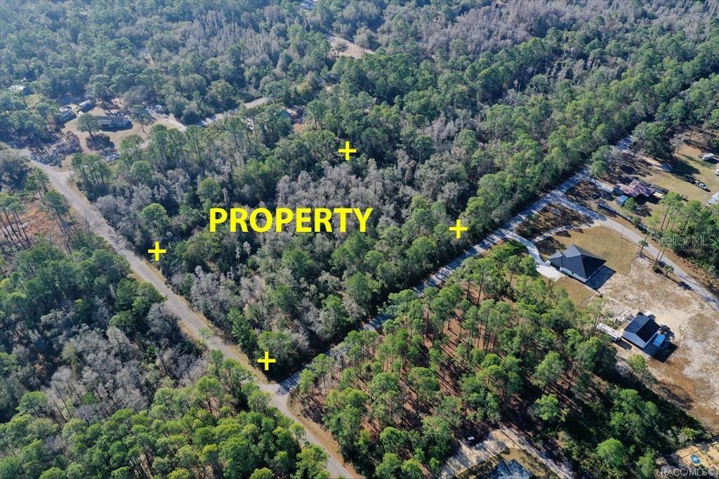9485 N BEECHTREE WAY, CRYSTAL RIVER, FL — photo 5 of 5