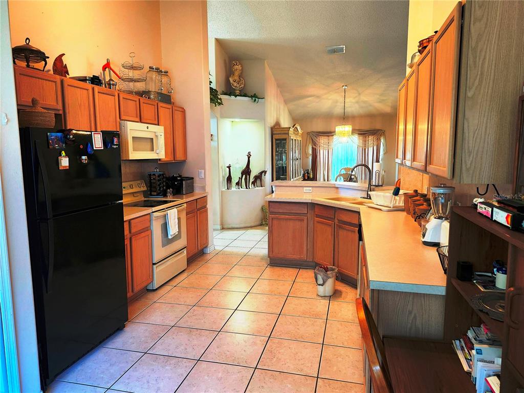 4613 EAGLET LANE, KISSIMMEE, FL — photo 3 of 18