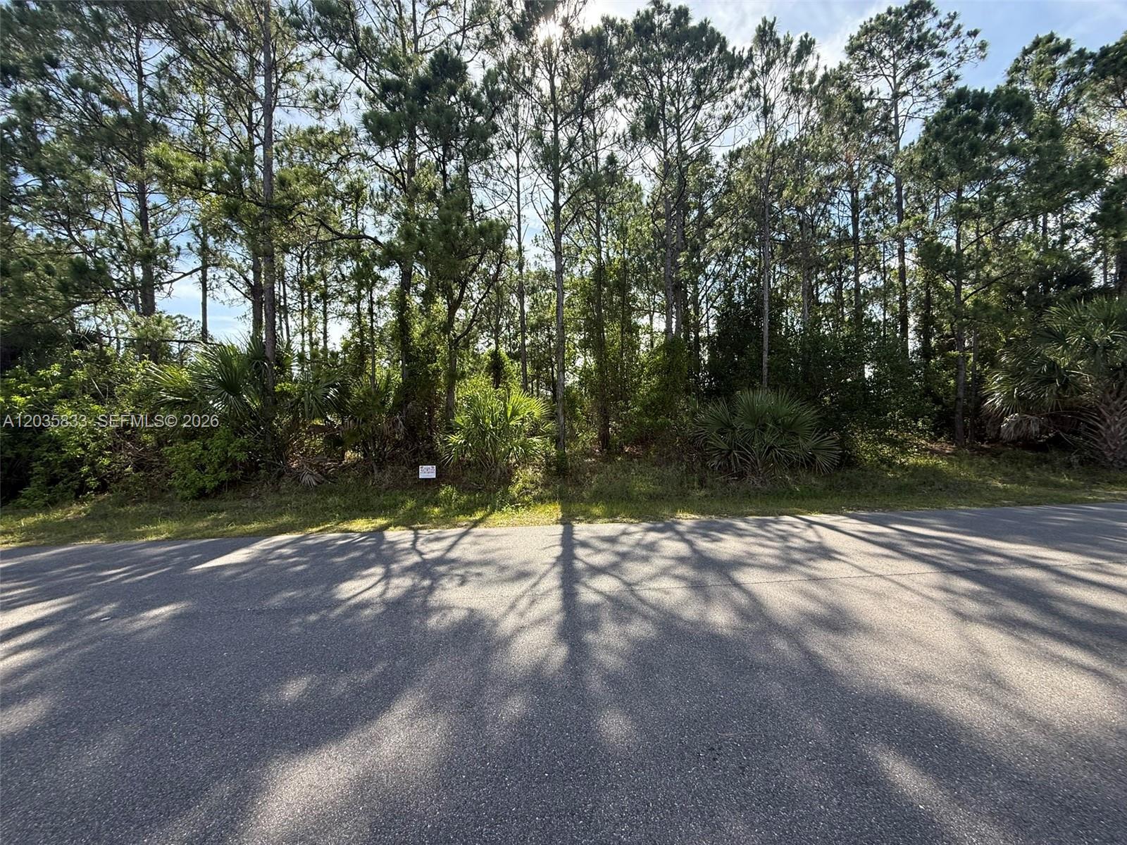 A paved road runs in front of a wooded lot with tall pine trees — 202 Jacaranda AVE NW, Palm Bay FL 32907, PALM BAY, FL