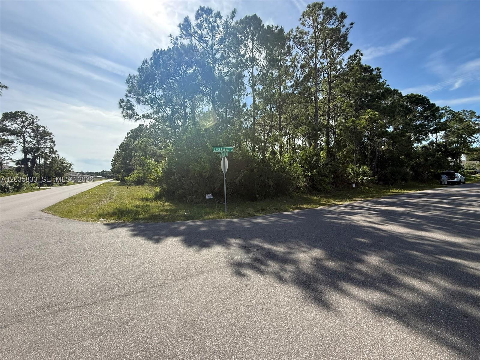 A street corner features a road intersection, a street sign, and a wooded lot — 202 Jacaranda AVE NW, Palm Bay FL 32907, PALM BAY, FL