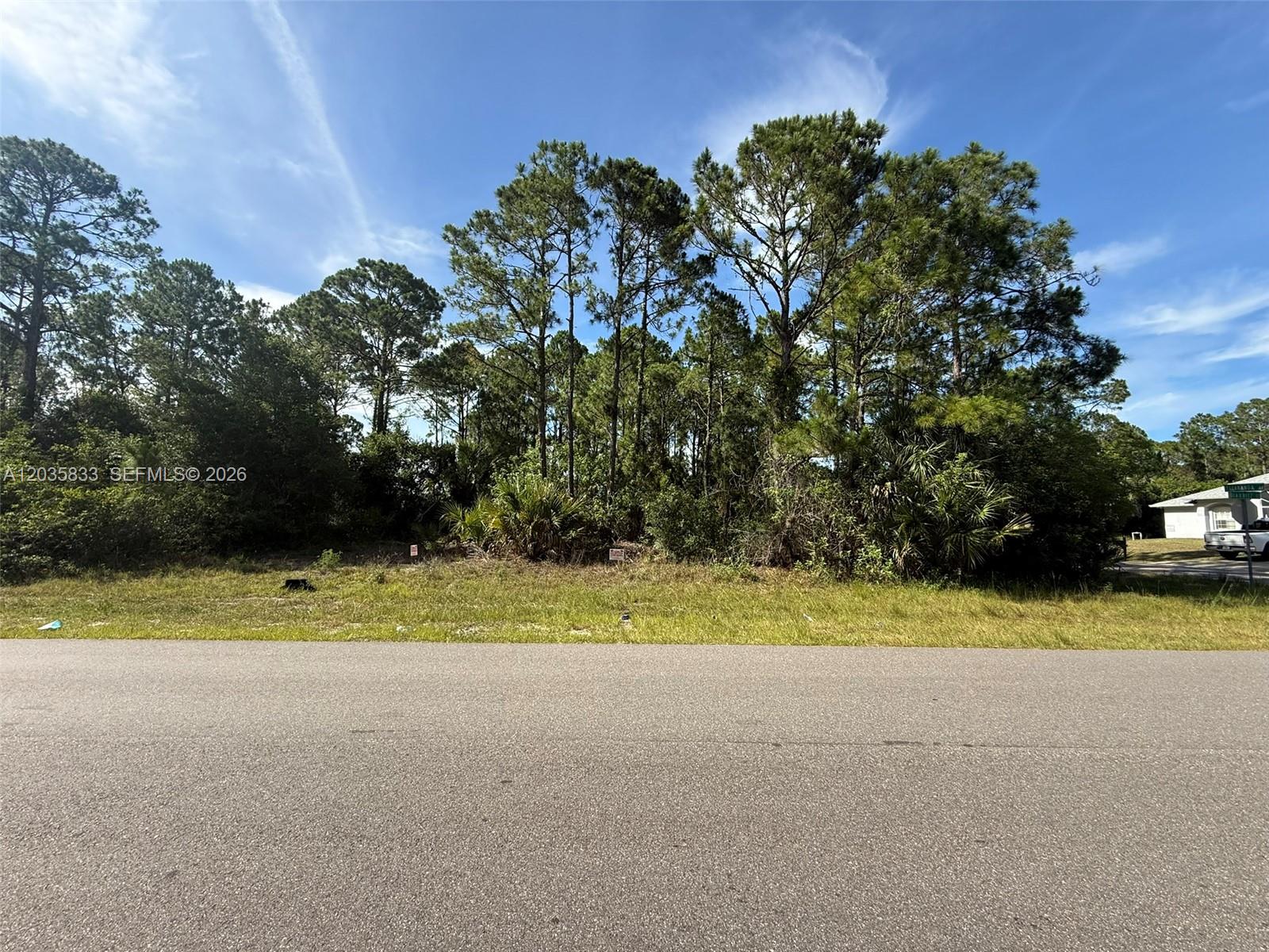 A vacant, wooded lot sits behind a paved road under a bright blue sky — 202 Jacaranda AVE NW, Palm Bay FL 32907, PALM BAY, FL
