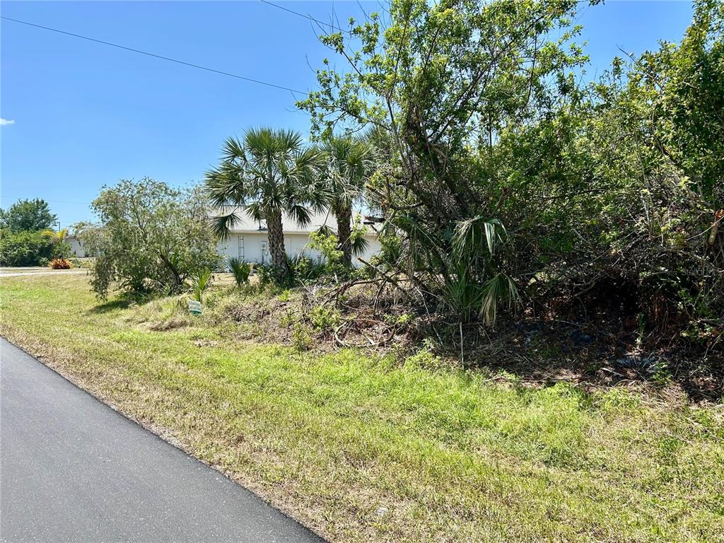 A paved road runs alongside a grassy lot with palm trees and dense vegetation — 6223 MCALLEN STREET, PORT CHARLOTTE, FL