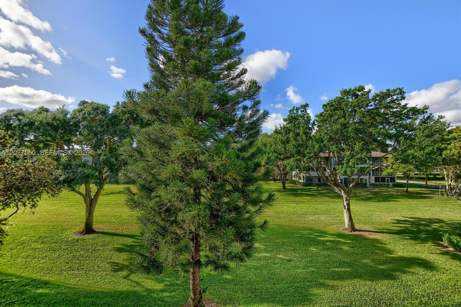 A grassy lawn with several trees and a multi-story building in the background — 161 Mansfield D # 161, Boca Raton FL 33434, BOCA RATON, FL