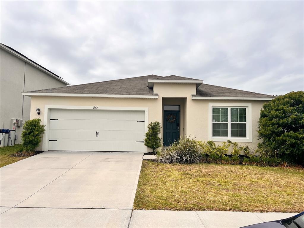 1267 IGUANA LOOP