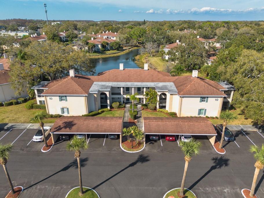 10336 CARROLLWOOD LANE UNIT 106
