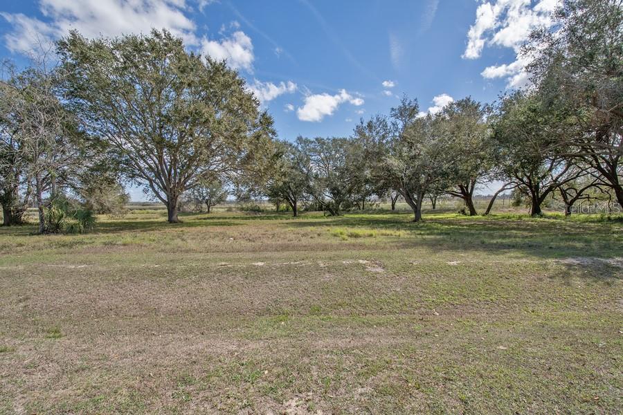ROYAL PALM DR, GROVELAND, FL — photo 3 of 14