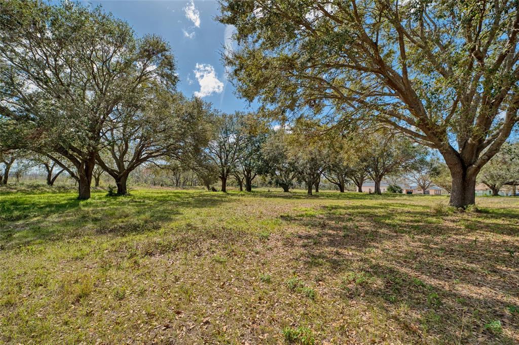 ROYAL PALM DR, GROVELAND, FL — photo 4 of 14