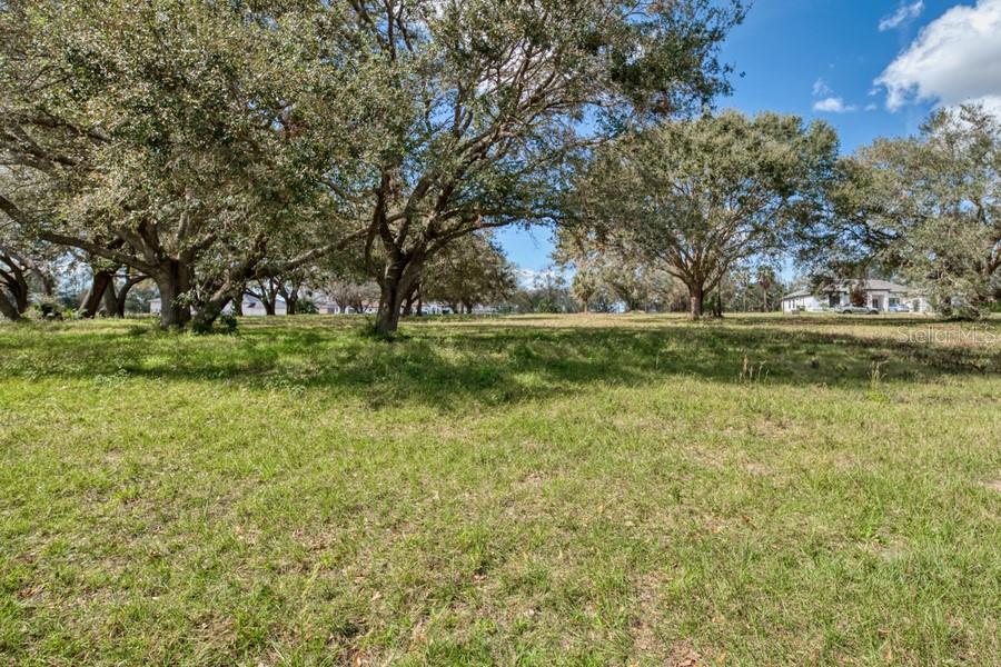 ROYAL PALM DR, GROVELAND, FL — photo 5 of 14