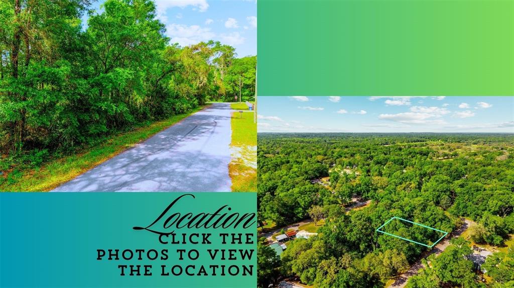 This image shows a split view of a wooded road and an aerial property map — Lot 12 NW 20TH STREET, OCALA, FL