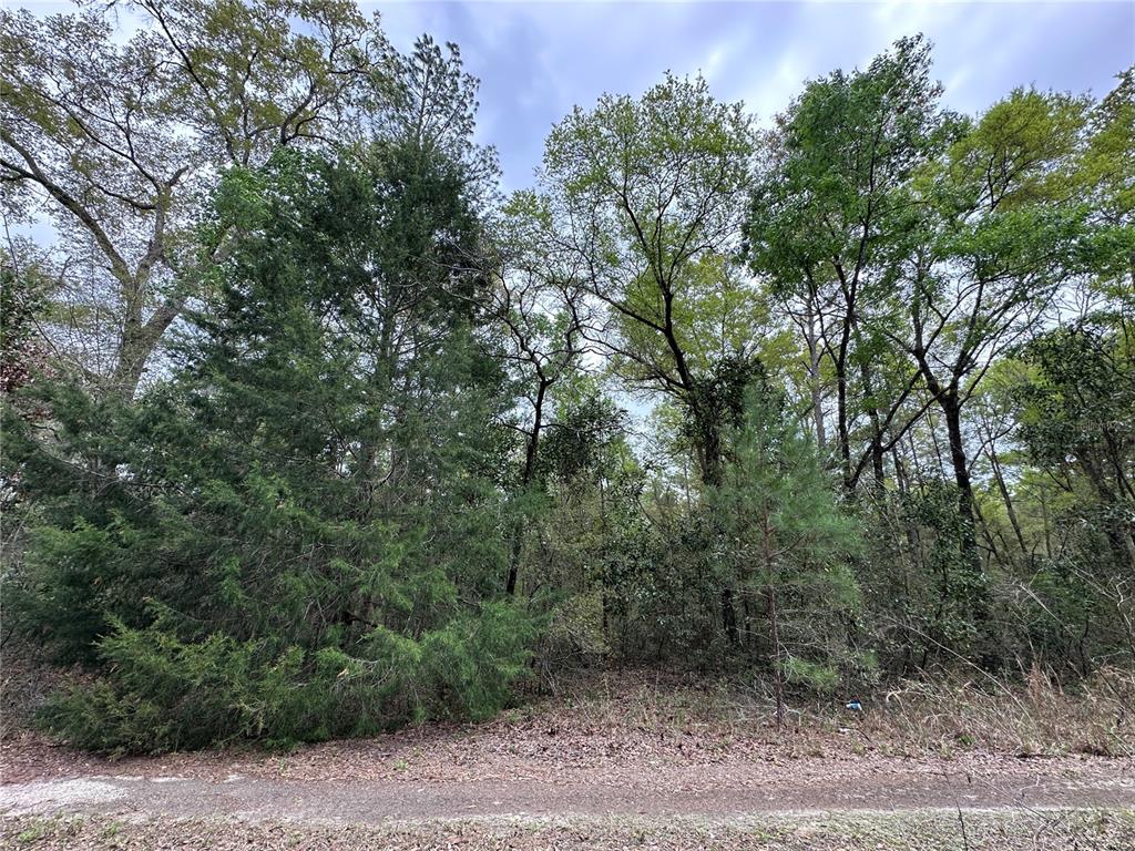tbd NE 154TH AVENUE