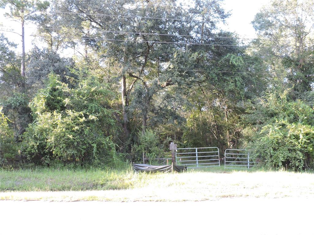 A metal gate stands at the entrance of a wooded lot along a paved road — W COUNTY ROAD 2006 WEST W, BUNNELL, FL