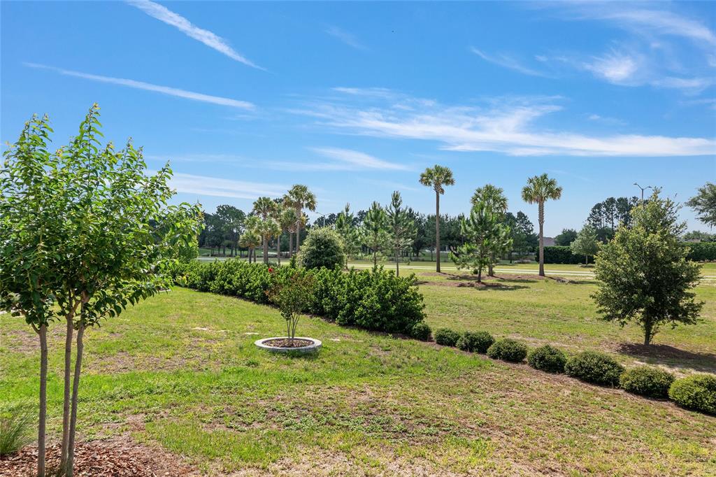 A grassy yard features a row of shrubs, several trees, and palm trees under a sky — 8837 SW 79TH LOOP, OCALA, FL