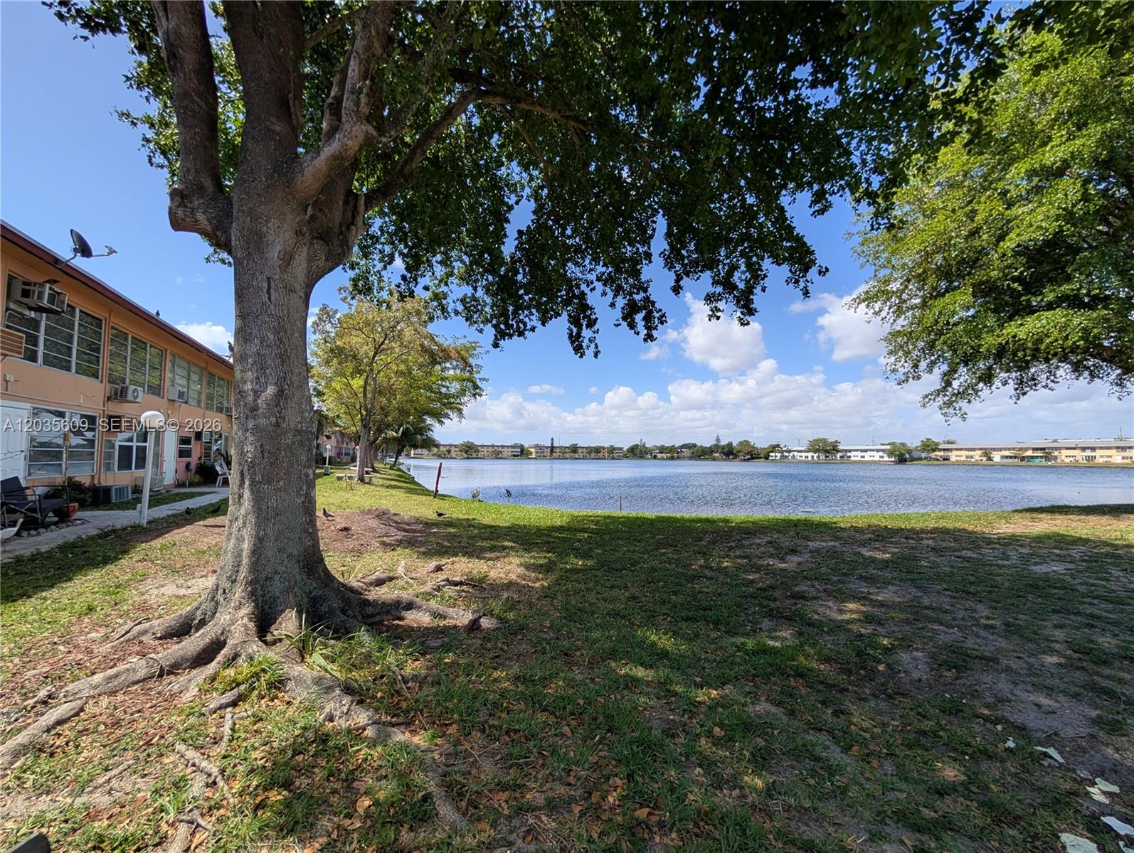 A large tree stands on a grassy lawn beside a lake and apartment buildings — 19080 NE 3rd Ct # 311, Miami FL 33179, MIAMI, FL