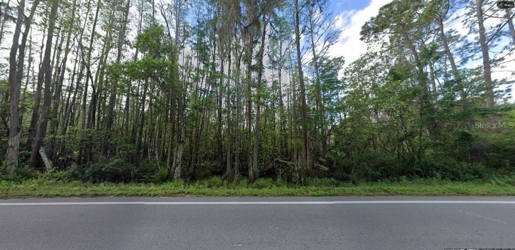A paved road runs in front of a dense, wooded lot with many tall trees — DEEN STILL ROAD, POLK CITY, FL