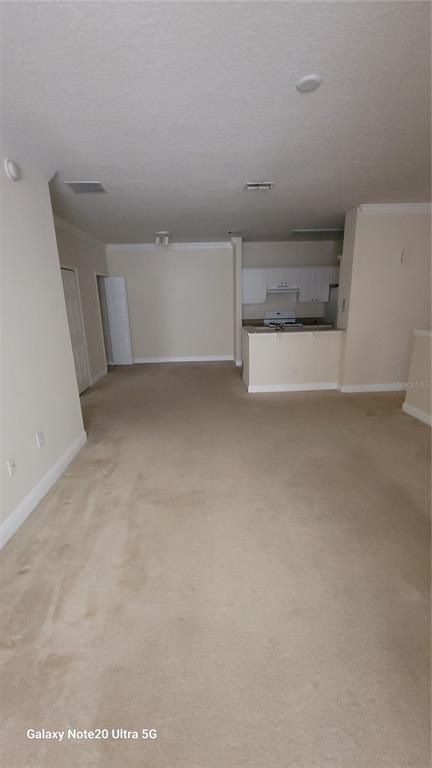 An open-concept living area features beige carpeting and a kitchen with white cabinets — 430 SOUTHERN PECAN CIRCLE UNIT 203, WINTER GARDEN, FL