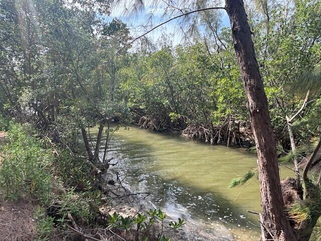 A narrow, murky waterway winds through a dense mangrove forest with exposed tree roots — 0 Aqua Ra Drive, Jensen Beach FL 34957, JENSEN BEACH, FL