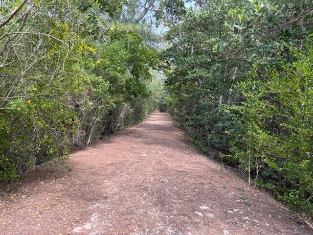 A dirt path stretches through a dense, green forest with trees lining both sides — 0 Aqua Ra Drive, Jensen Beach FL 34957, JENSEN BEACH, FL