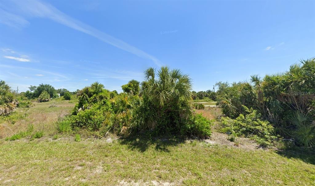 A view of a grassy, undeveloped lot featuring native Florida palm trees and shrubs — 7224 LANDRUM CIRCLE, PORT CHARLOTTE, FL
