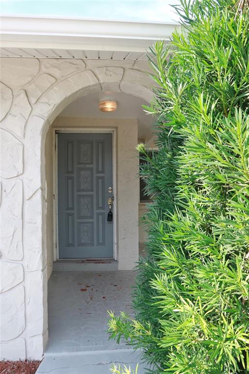 A blue front door is set within a stone-textured arched entryway next to a shrub — 6533 RIDGE CREST DRIVE, PORT RICHEY, FL