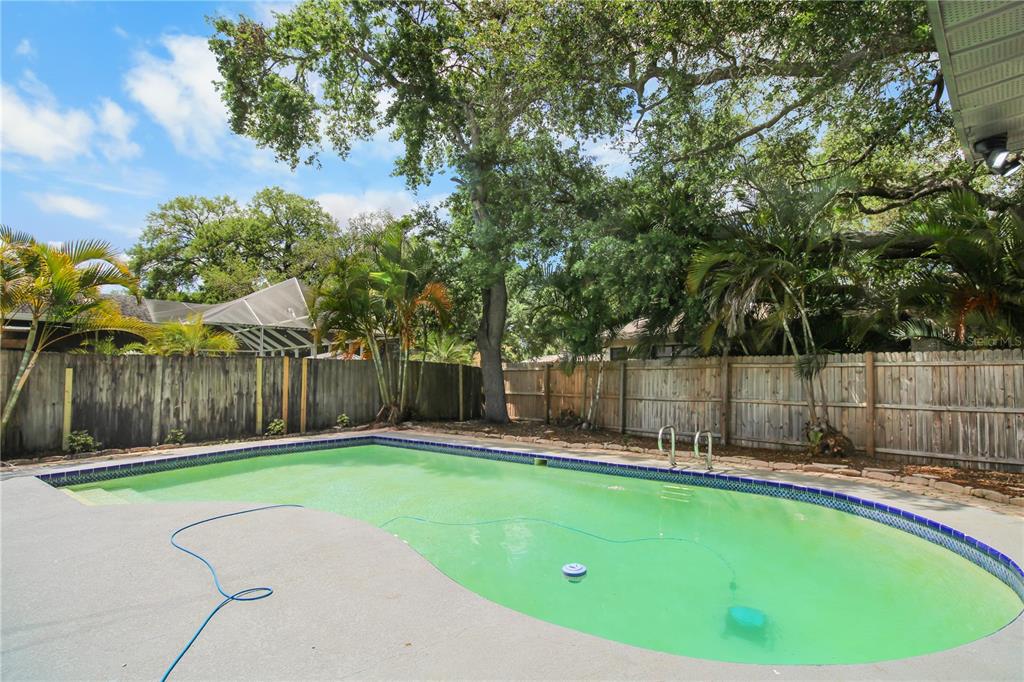 A backyard swimming pool with green water is enclosed by a wooden fence and trees — 11492 93RD STREET, LARGO, FL