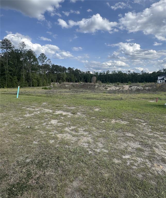 A vacant, grassy residential lot features a blue utility pipe and a distant tree line — 14759 SW 9TH LANE, NEWBERRY, FL