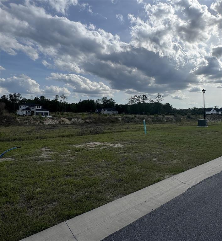 A vacant residential lot features grass, a utility pole, and distant houses under a cloudy sky — 14759 SW 9TH LANE, NEWBERRY, FL