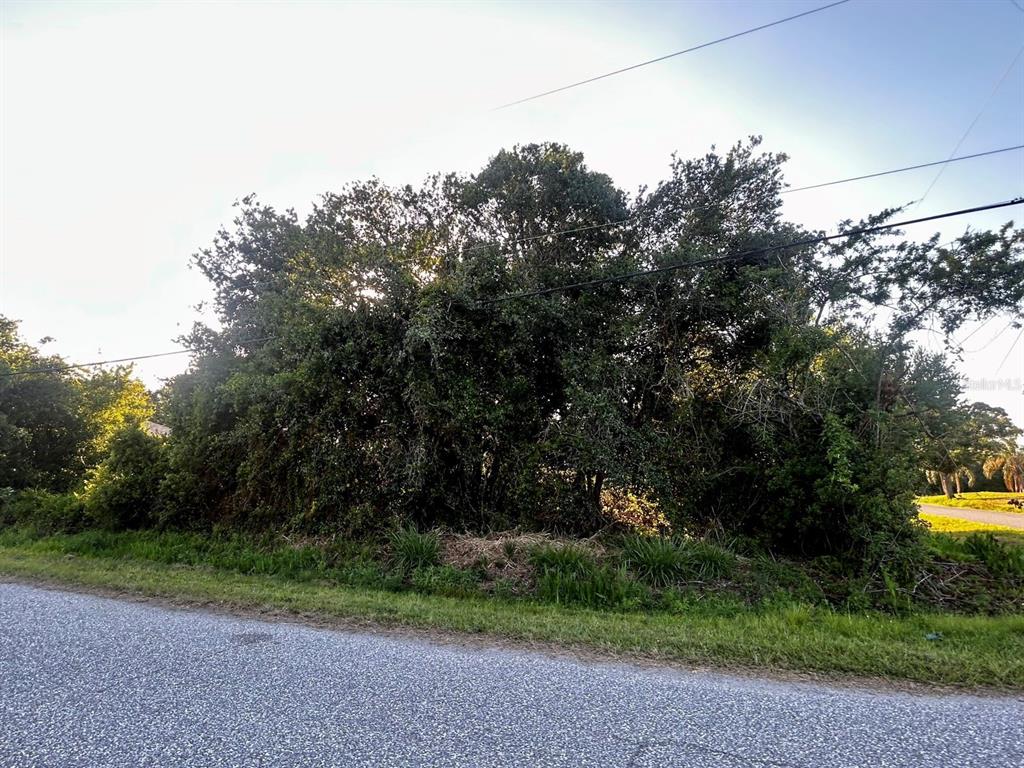 A dense cluster of trees and vegetation sits along the edge of a paved road — LOT 12 TOPEKA LANE, NORTH PORT, FL