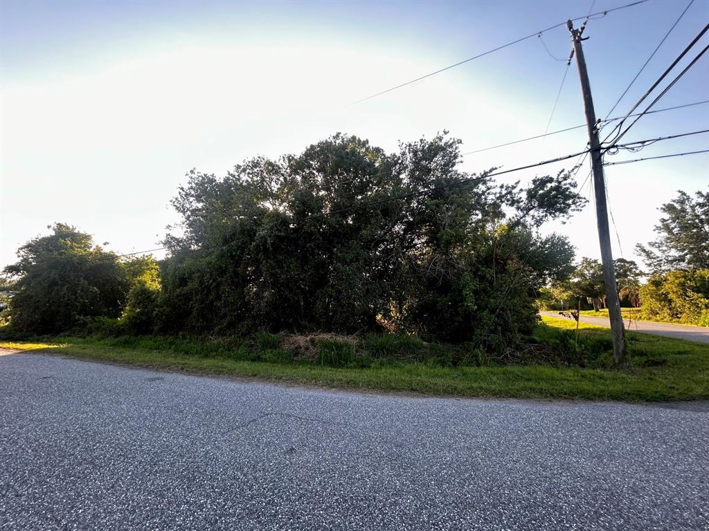 A paved road curves past a dense thicket of trees and a utility pole — LOT 12 TOPEKA LANE, NORTH PORT, FL