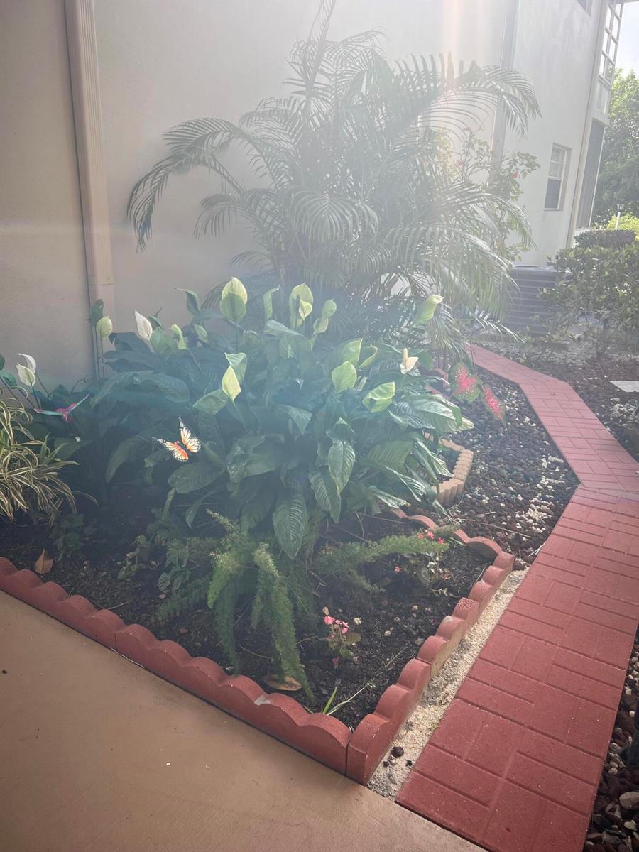 A garden bed with a palm tree and peace lilies borders a red brick walkway — 25 Lake Vista Trail # 106, FL 34952, FL