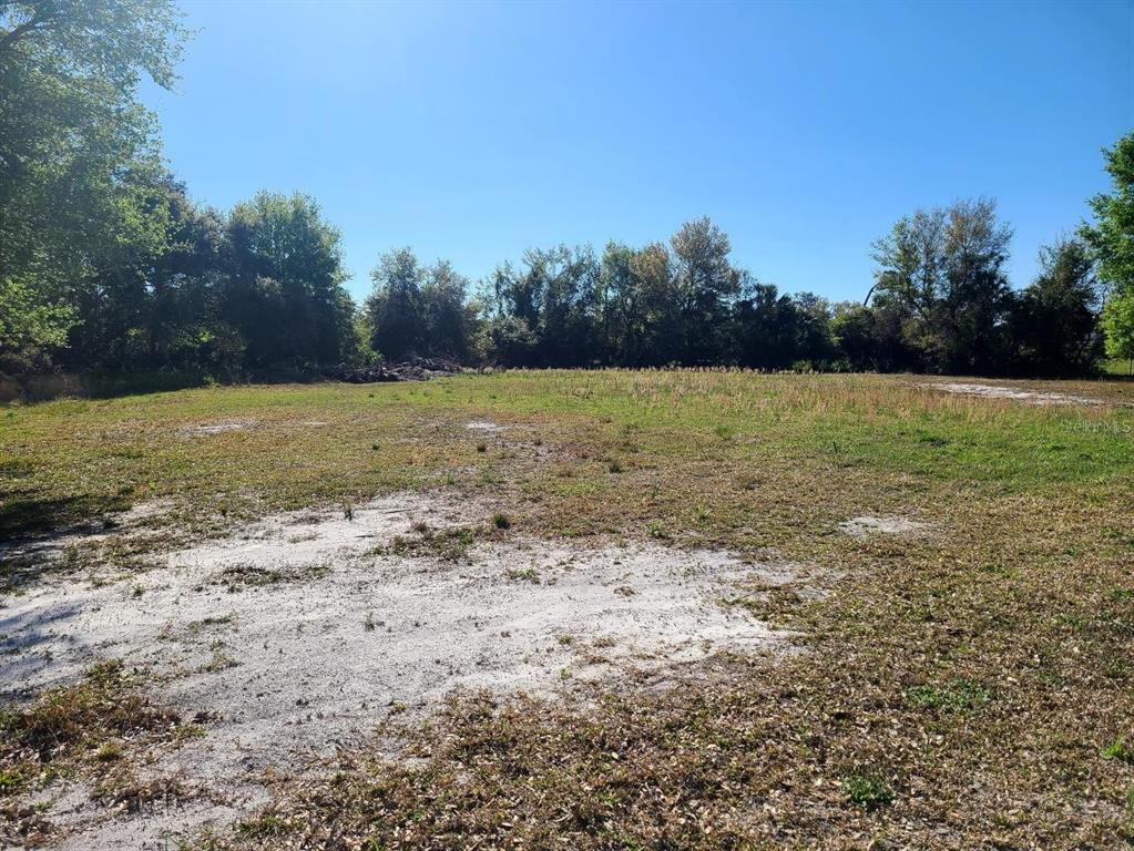 A flat, grassy, and sandy vacant lot is bordered by a line of mature trees — 3541 N BOULEVARD, TAMPA, FL