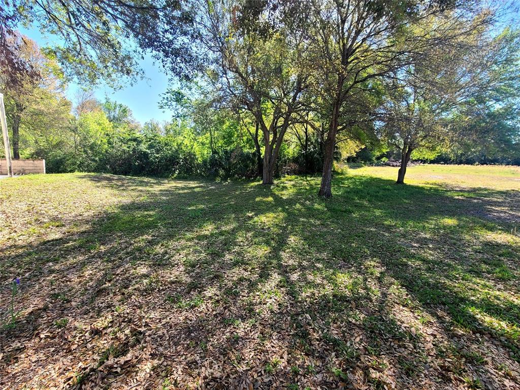 A grassy, tree-filled lot with a dense line of foliage in the background — 3541 N BOULEVARD, TAMPA, FL