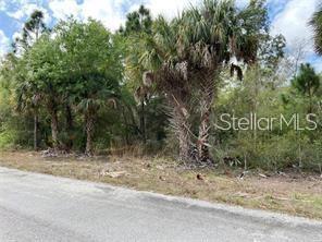 A paved road runs alongside a vacant, wooded lot featuring several tall palm trees — 3399 JEWEL STREET, PORT CHARLOTTE, FL